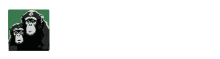 Projeto Gap